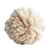 Organic Lion's Mane Mushroom
