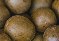 Stevia & Monk Fruit